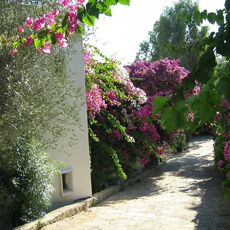 Jungle Apartmanhotel Torba