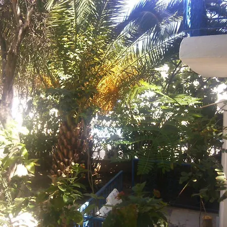 Hotel de apartamente Jungle