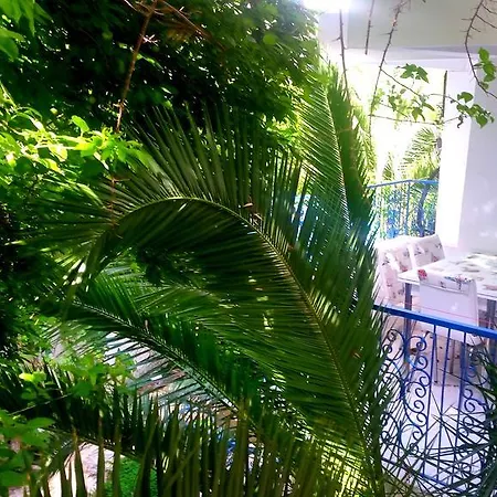 Apartmanhotel Jungle