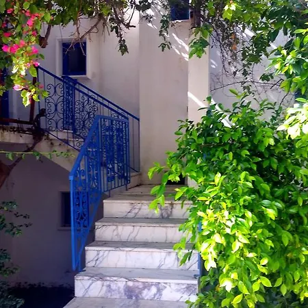 Jungle Hotel de apartamente Torba