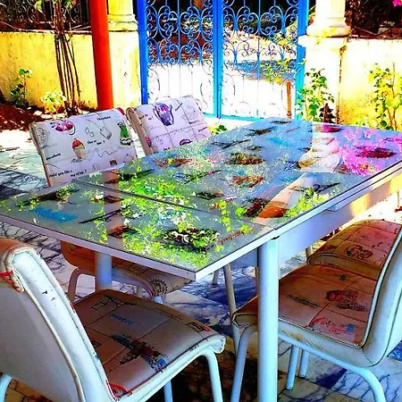 Apartmanhotel Jungle Torba